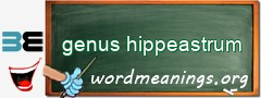 WordMeaning blackboard for genus hippeastrum